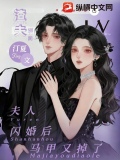 渣夫别跪：夫人闪婚后马甲又掉了